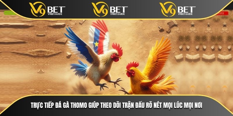 Trực tiếp đá gà Thomo giúp theo dõi trận đấu rõ nét mọi lúc mọi nơi